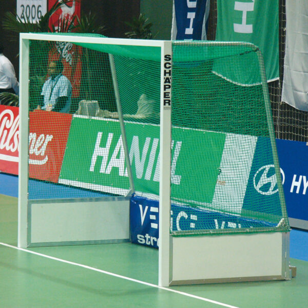 Hallenhockeytor Profi, weiss lackiert