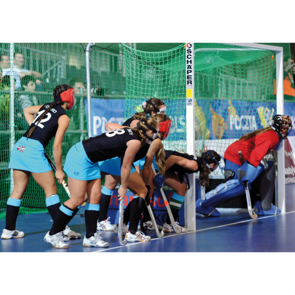 But de hockey en salle Competition